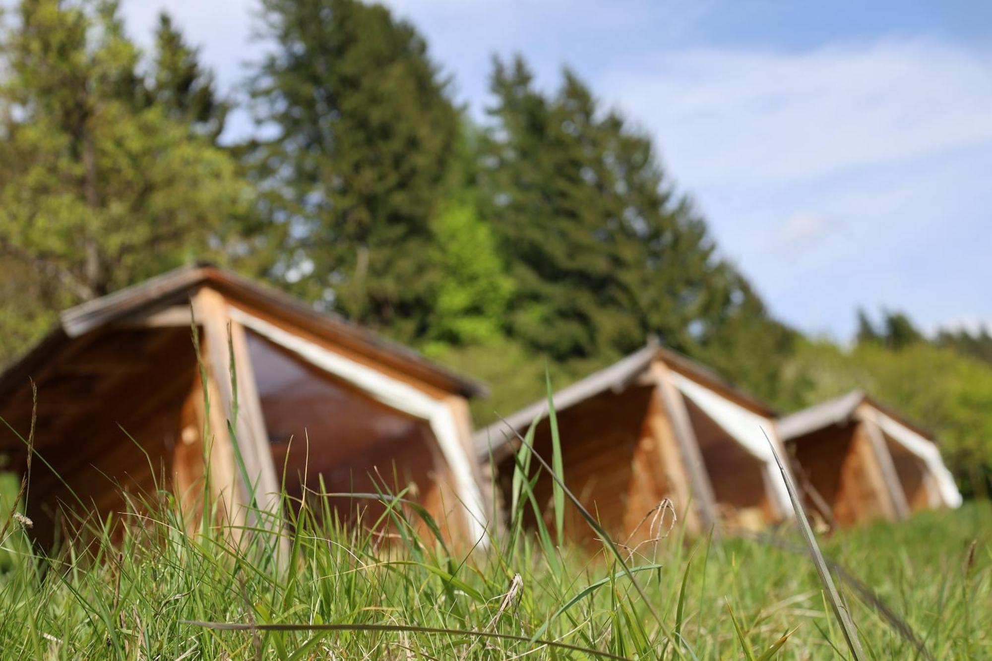 Вілла Mountain View Glamping Довє Екстер'єр фото