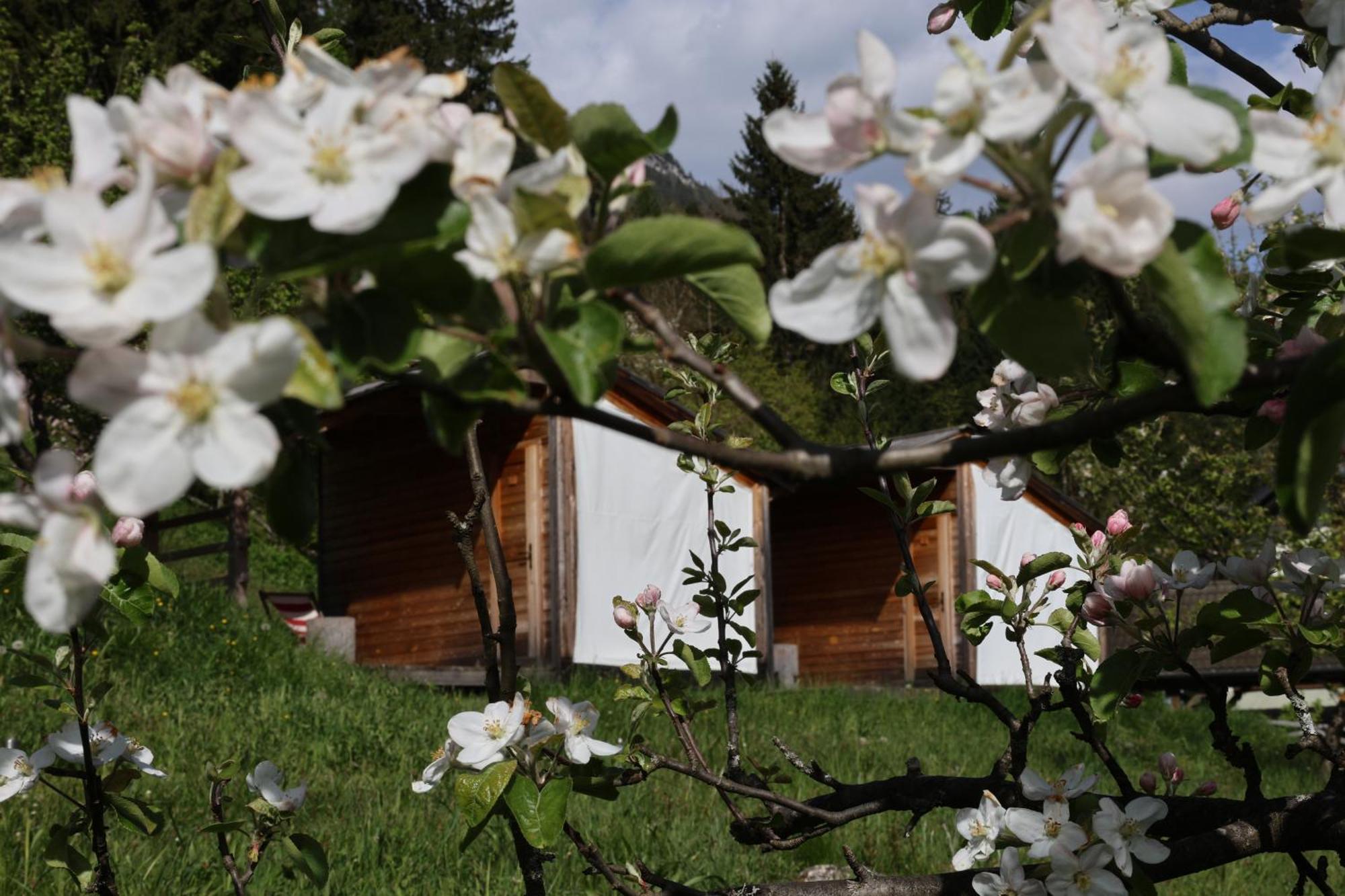 Вілла Mountain View Glamping Довє Екстер'єр фото