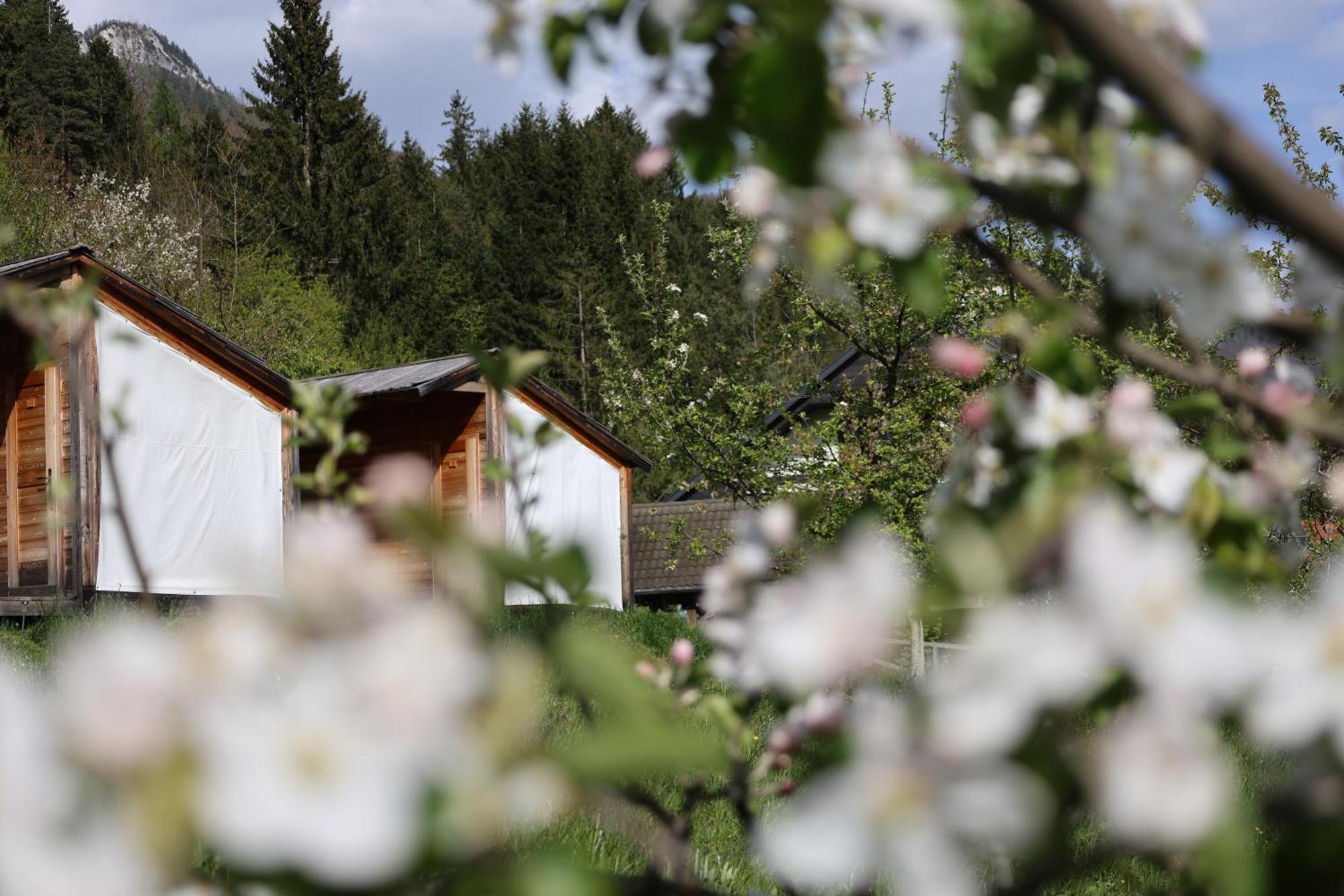 Вілла Mountain View Glamping Довє Екстер'єр фото
