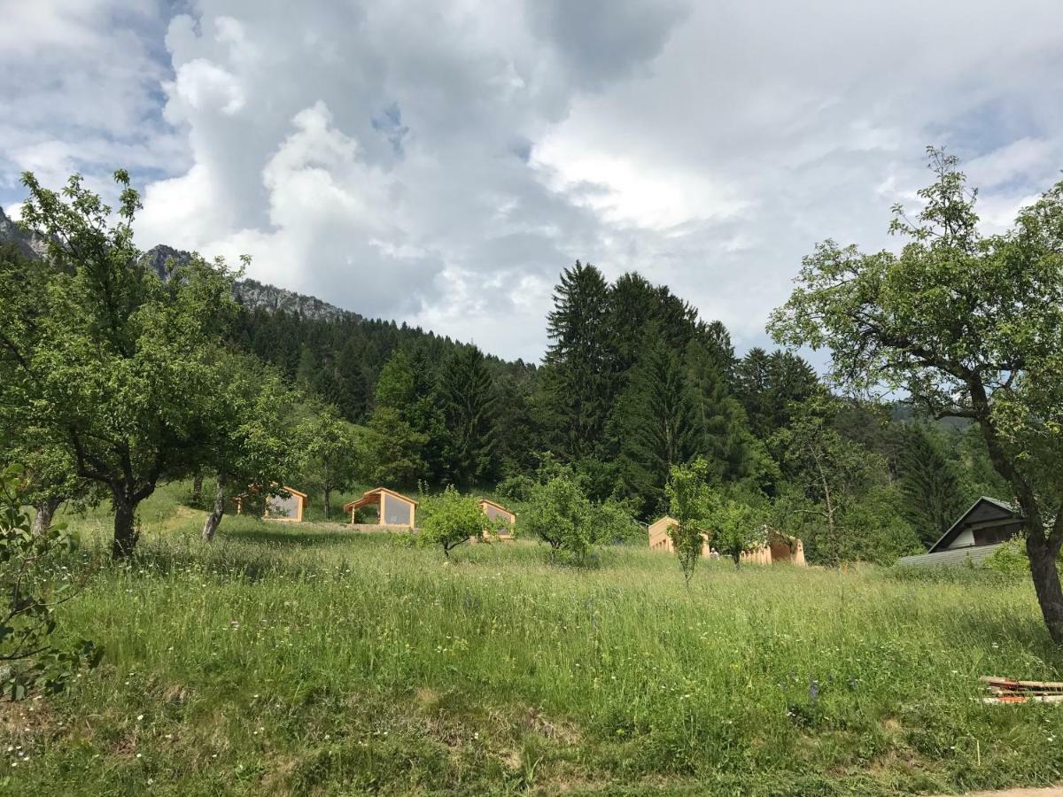 Вілла Mountain View Glamping Довє Екстер'єр фото