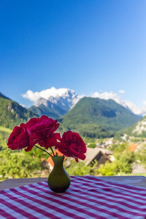 Вілла Mountain View Glamping Довє Екстер'єр фото