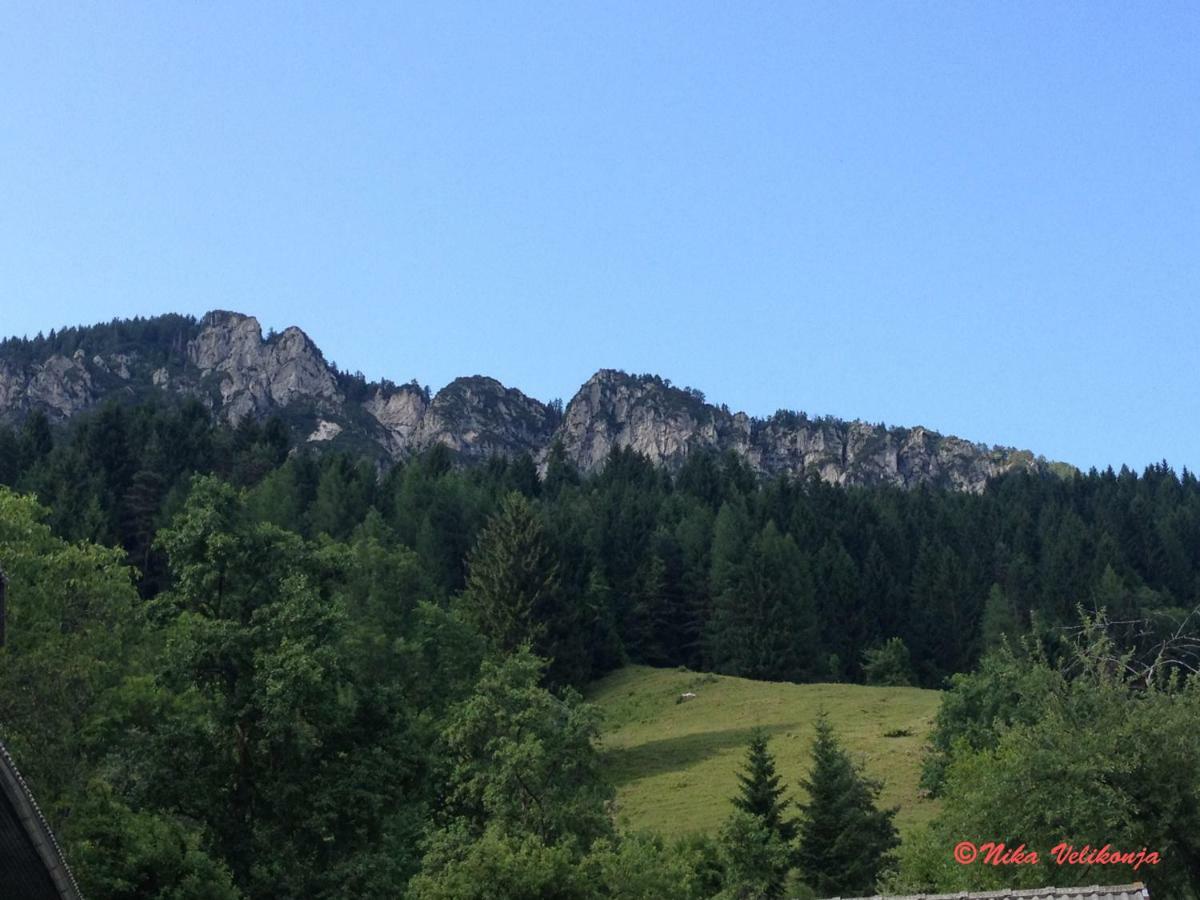 Вілла Mountain View Glamping Довє Екстер'єр фото