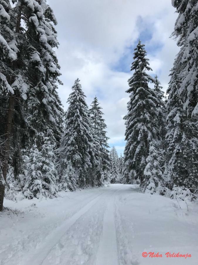 Вілла Mountain View Glamping Довє Екстер'єр фото