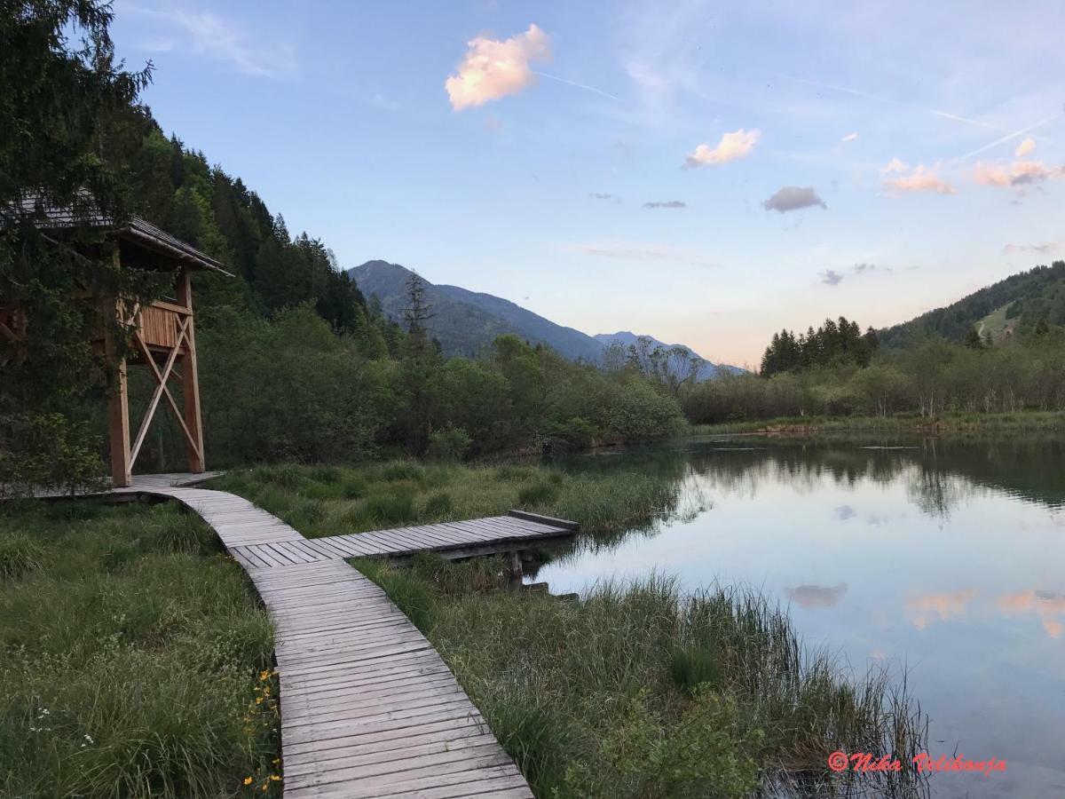 Вілла Mountain View Glamping Довє Екстер'єр фото