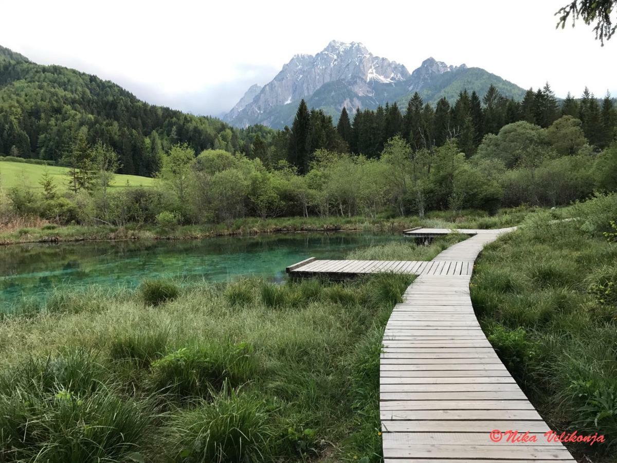 Вілла Mountain View Glamping Довє Екстер'єр фото