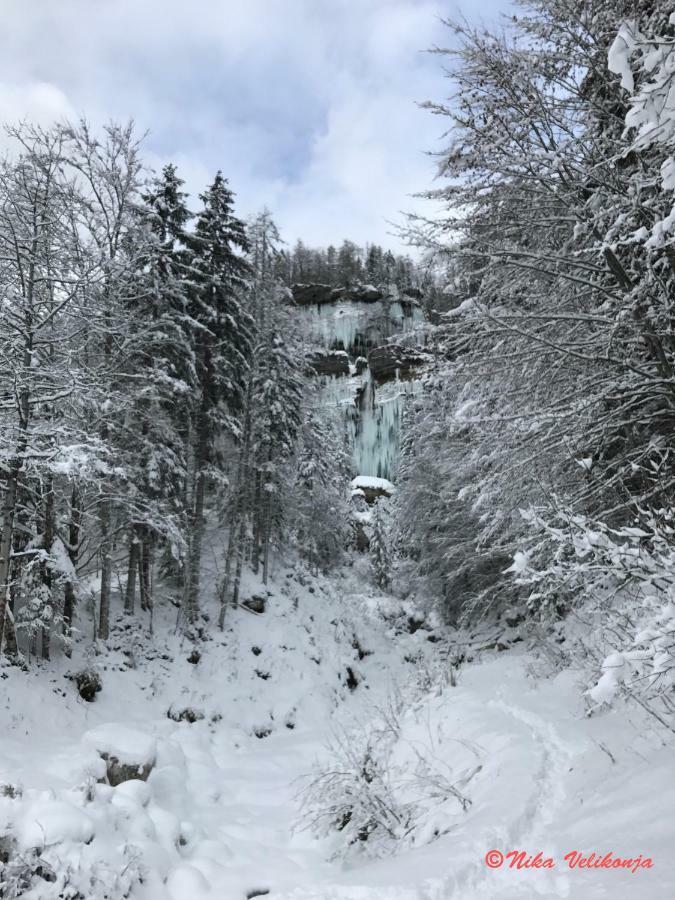 Вілла Mountain View Glamping Довє Екстер'єр фото