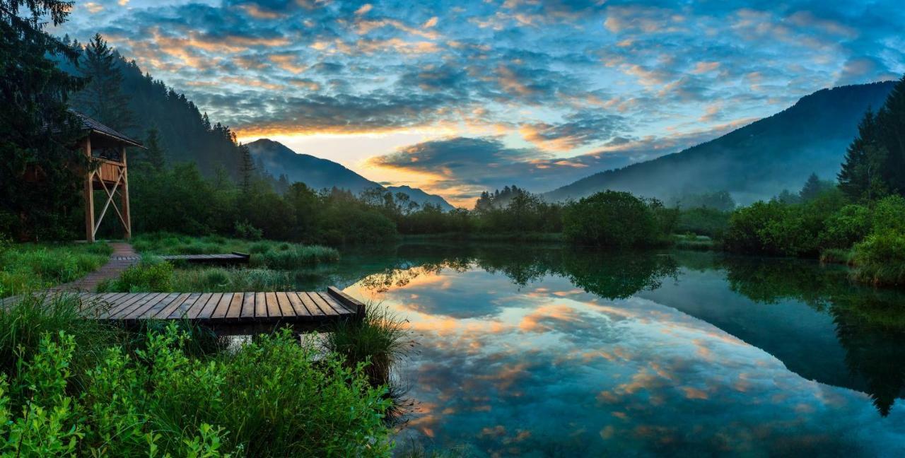 Вілла Mountain View Glamping Довє Екстер'єр фото